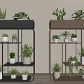 Garden Decor Multi Tiered Black And Brown Plant Stands With Potted Green Plants Indoor