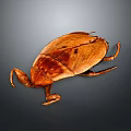 Detailed Brown Wooden Beetle Model With Realistic Body Texture And Legs