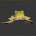 Green Frog With Extended Limbs Leaping on Smooth Gray Surface With Reflection 3d model