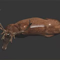 Brown Deer With Large Antlers Lying On Dark Background With Reflection 3d model