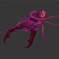 Giant Beetle With Large Red Mandibles Black Orange Body Yellow Legs Detailed Close Up View