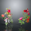 Colorful Roses Arrangement With Pink Red Blooms Butterfly Red Berries And Green Leaves