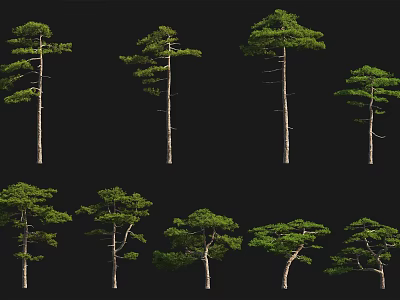 Various Arbor Trees With Green Foliage For Landscape Design Collection 3d model