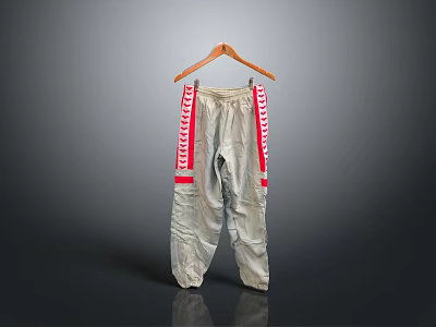 Gray Sports Pants With Red Side Stripes Hanging On Wooden Hanger For Daily Wear 3d model