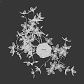 Black Vase With Pink Blooming Flowers And Delicate Branches On Gray Background