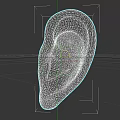 Human Ear 3D Model Showing Detailed Anatomical Structure on Dark Background 3d model