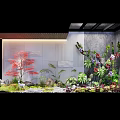 Indoor Landscape Design With Red Leaf Plants Ferns Rockery Stones And Deer Ornament