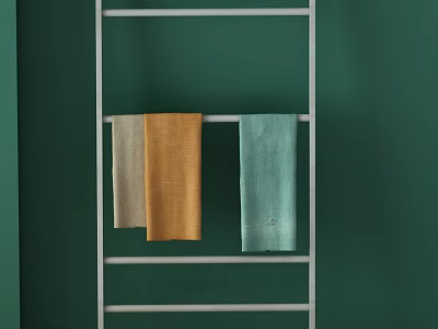 Beige Orange And Light Green Towels Hanging On Metal Rack Against Green Wall 3d model
