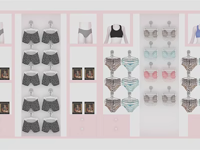 Pink Fashion Background Wall Featuring Hanging Bras And Underwear In Various Styles 3d model