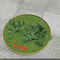 Fresh Plantain Herb Growing In Circular Green Patch On Stone Pavement 3d model