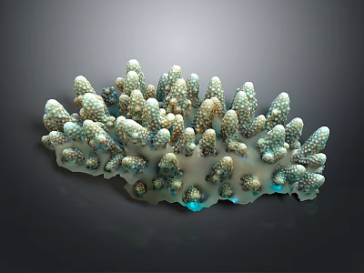 Vibrant Coral Polyps Displaying Colorful Branching Structures With Iridescent Blue Green Tones 3d model