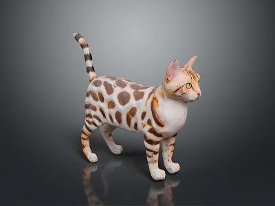 Spotted Brown And White Cat Standing On Gray Background With Yellow Eyes 3d model