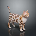 Spotted Brown And White Cat Standing On Gray Background With Yellow Eyes