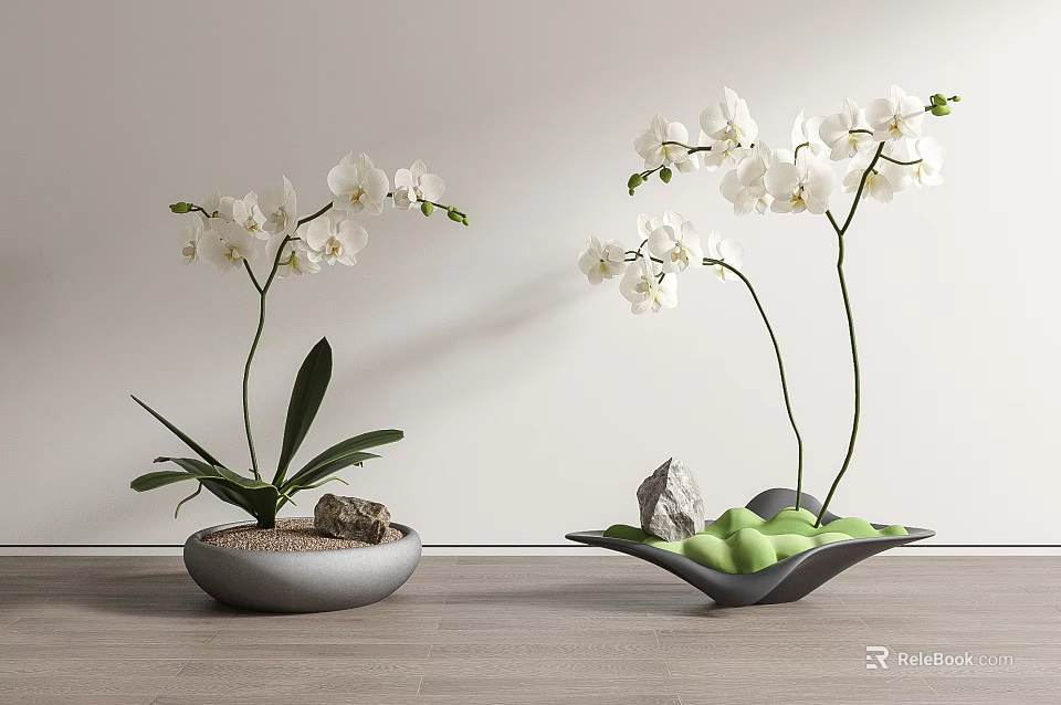 White Orchid Bonsai Potted Plants in Grey Bowl and Green Leaf Shaped Pots with Stones 3d model 