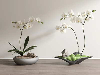 White Orchid Bonsai Potted Plants in Grey Bowl and Green Leaf Shaped Pots with Stones 3d model