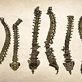 Artistic Stone Spine Shaped Garden Ornaments For Outdoor Decorative