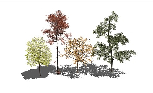 Modern Trees 3d model