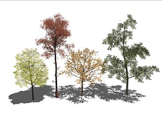 Modern Trees 3d model