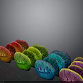 Colorful Shiny Fan Shaped Plants with Red Green Blue Pink Hues on Gray Background