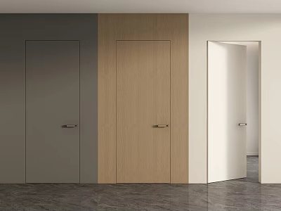 Three Different Colored Wooden Gray and White Hinged Doors in Modern Interior Design 3d model