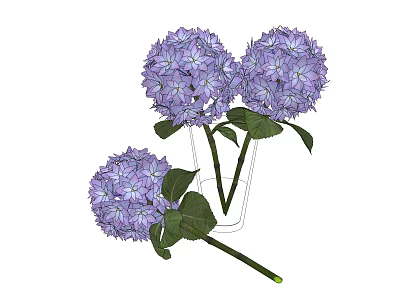 Fresh Purple Hydrangea Flowers in Transparent Vase with Green Leaves 3d model