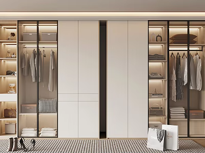 Modern Wardrobe Interior Design With Glass Doors Hanging Rails And LED Lighting 3d model