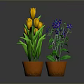 Two Potted Plants With Yellow Tulips And Purple Flowers In Orange Pots