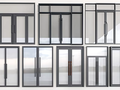 Modern Entry Doors With Various Glass Panel And Metal Frame Designs 3d model