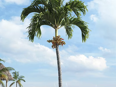 Tall Palm Tree With Large Green Fronds Slender Trunk Red Blooms Blue Sky White Clouds 3d model