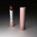 Stylish Pink Silver Lipstick With Brown Shade Open And Closed Case