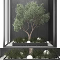 Indoor Arbor With Lush Green Leaves Dark Wall Background And Decorative Balls