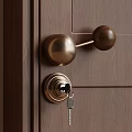 Elegant Round Brass Door Handle on Dark Wooden Door with Lock and Key