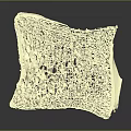 White Porous Structure With Intricate Internal Holes And Textured Surface