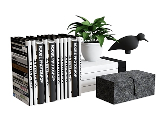 Books Plant Potted Ornaments 3d model