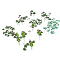 Vibrant Green Leafy Plants and Red Small Flowers in Garden Arrangement