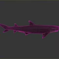Realistic Dark Shark 3D Model With Detailed Fins And Gray Background Reflection