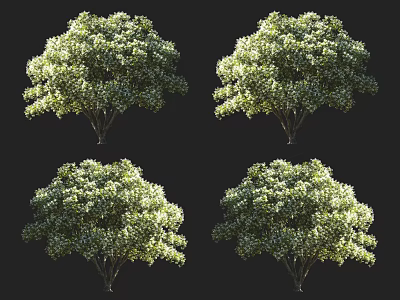 Lush Green Arbor With Full Crown And Vibrant Foliage In Natural Setting 3d model