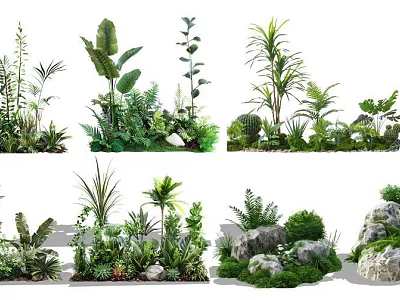 Lush Tropical Plant Combinations Featuring Ferns Green Palms And Natural Stones For Landscaping 3d model