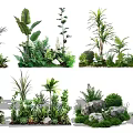 Lush Tropical Plant Combinations Featuring Ferns Green Palms And Natural Stones For Landscaping