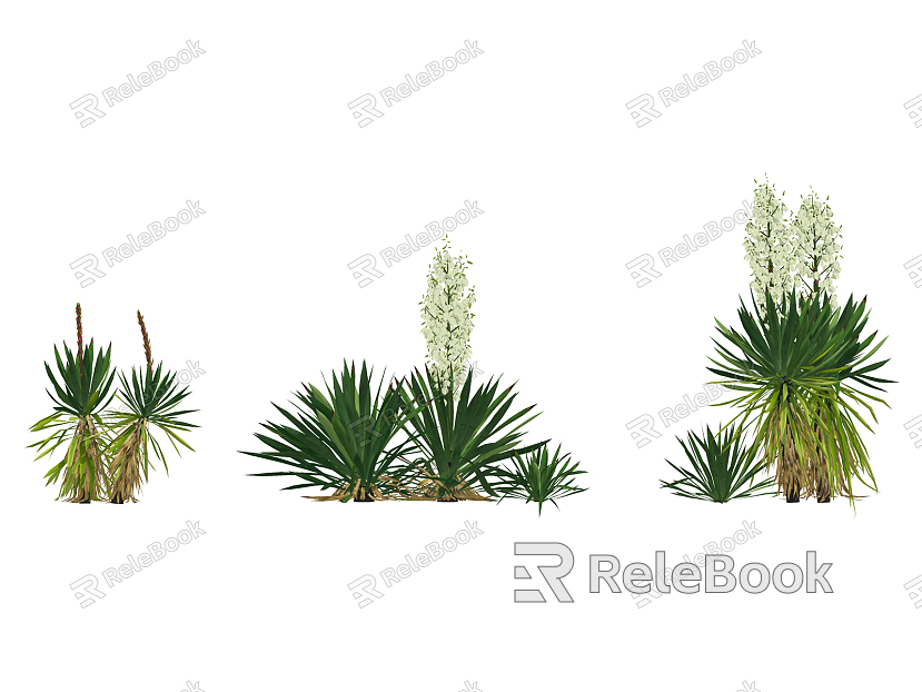 Modern plant yucca model