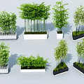 Modern Bonsai Plants in Various Square Rectangular White Black Pots 3d model