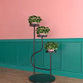 Three Bonsai Potted Plants On Black Metal Stands With Pink Teal Walls