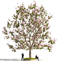 Arbor Featuring Purple Flowers And Green Leaves With People Standing And Sitting Under It