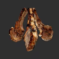 Tender Juicy Grilled Lamb Chops With Charred Surface And Seasoning