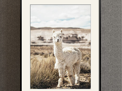 Modern Animal Painting Brown Children's Room Animal Alpaca Decorative Painting model