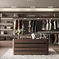 Modern Walk in Closet Interior With Storage Drawers And Decorations