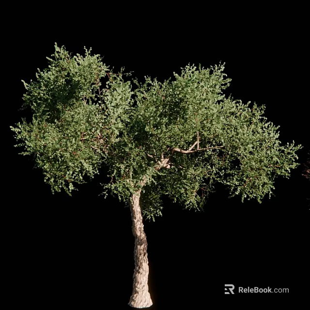 Mature Arbor With Lush Green Foliage And Natural Branch Structure 3d model 