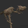 Artistic Twig Woven Bird Models Perched On Branch Against Dark Background