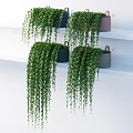 Lush Leafy Green Vines Cascading From Hanging Decorative Pots And Containers