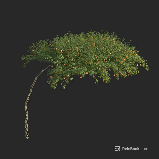 Lush Green Arbor With Curved Trunk And Orange Fruits Isolated On Black Background 3d model 